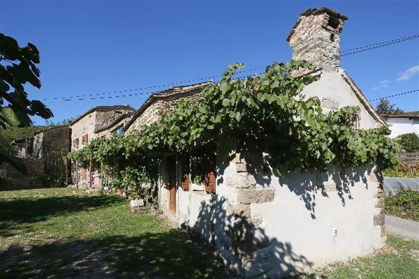 Istrian Experience Vakantiehuis